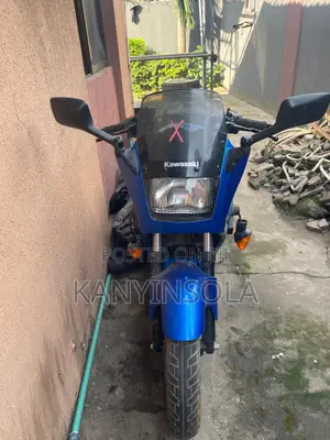 Kawasaki Bike 2007 Blue