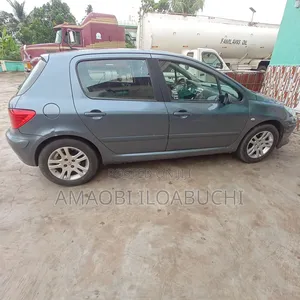Peugeot 307 2008 Gray