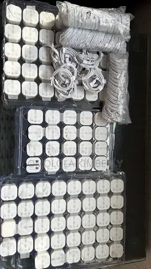 iPhone and Type C Fast Charger (Complete Head and Cord)
