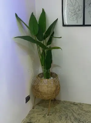 Flower, Flower Vase and Basket