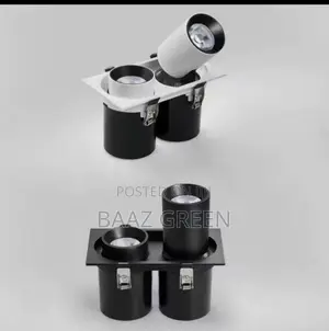 Adjustable Double Head Cob Recessed Spotlight Led Ceiling Light