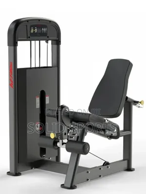 Commercial Extension Gym Machine