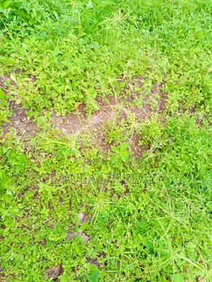 4000sqm Commercial Plot At Central Business District, Abuja