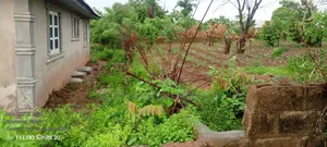 A Plot of Land