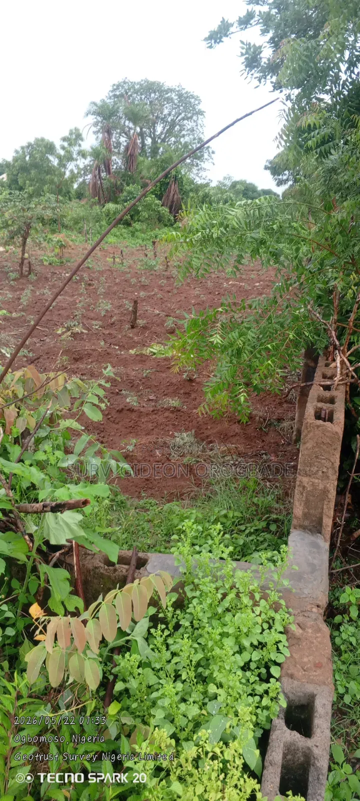 A Plot of Land