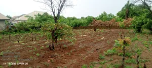 A Plot of Land