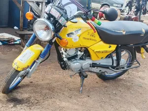 TVS HLX 125 2024 Yellow
