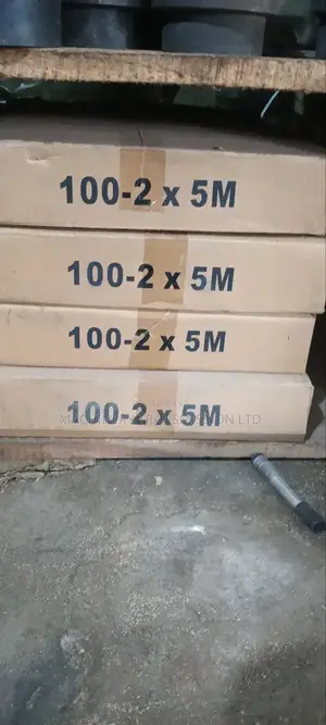 100-2 Duplex Drive Chain for Industrial Machinery