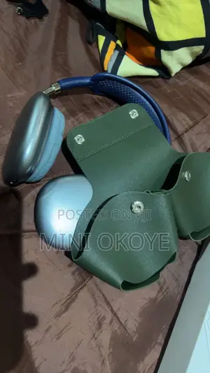 Airpods Max(With Casing)