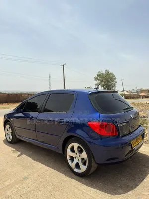 Peugeot 307 2005 Blue