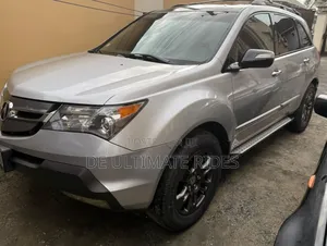 Acura MDX 2009 Silver
