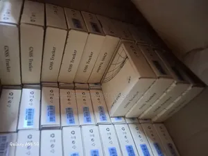 Safeguarded User-Friendly GPS Tracker With Installation in Yaba
