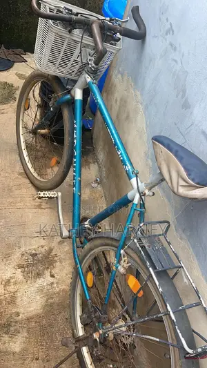 Selling Bicycle