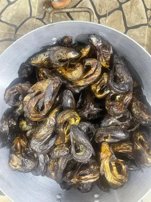 Premium Fish