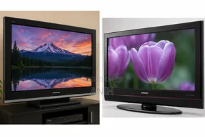 Plasma Television