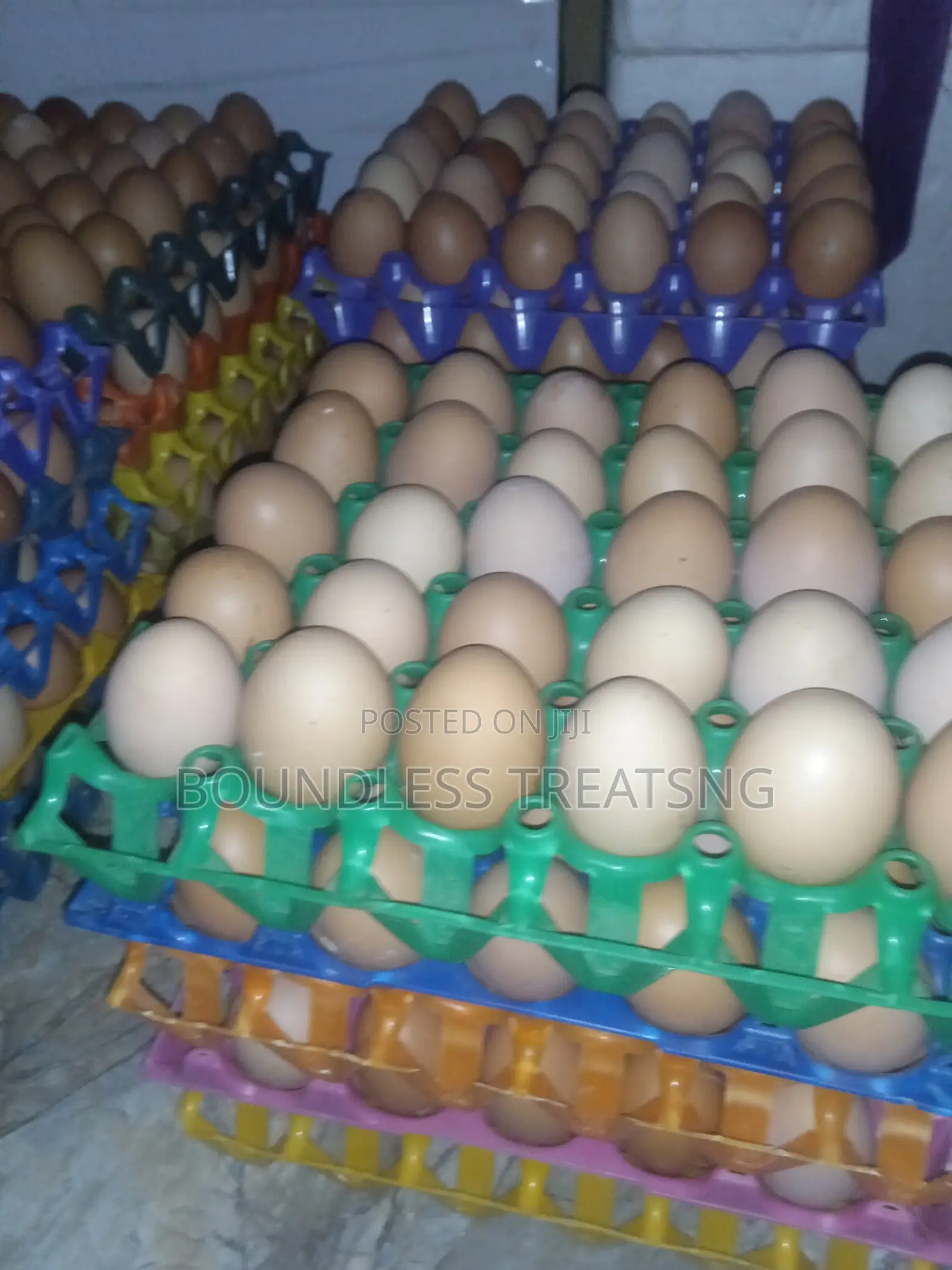 Fresh Chicken Eggs