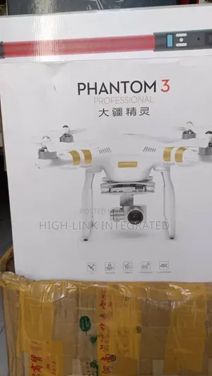 Dji Phantom 3 Professional Drone