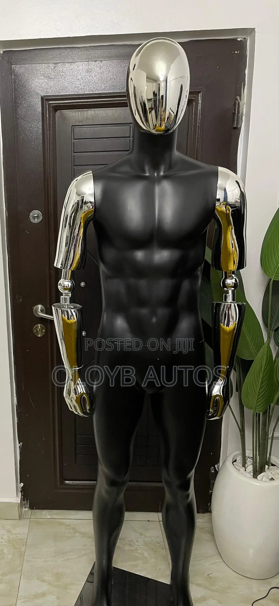 Male Mannequin