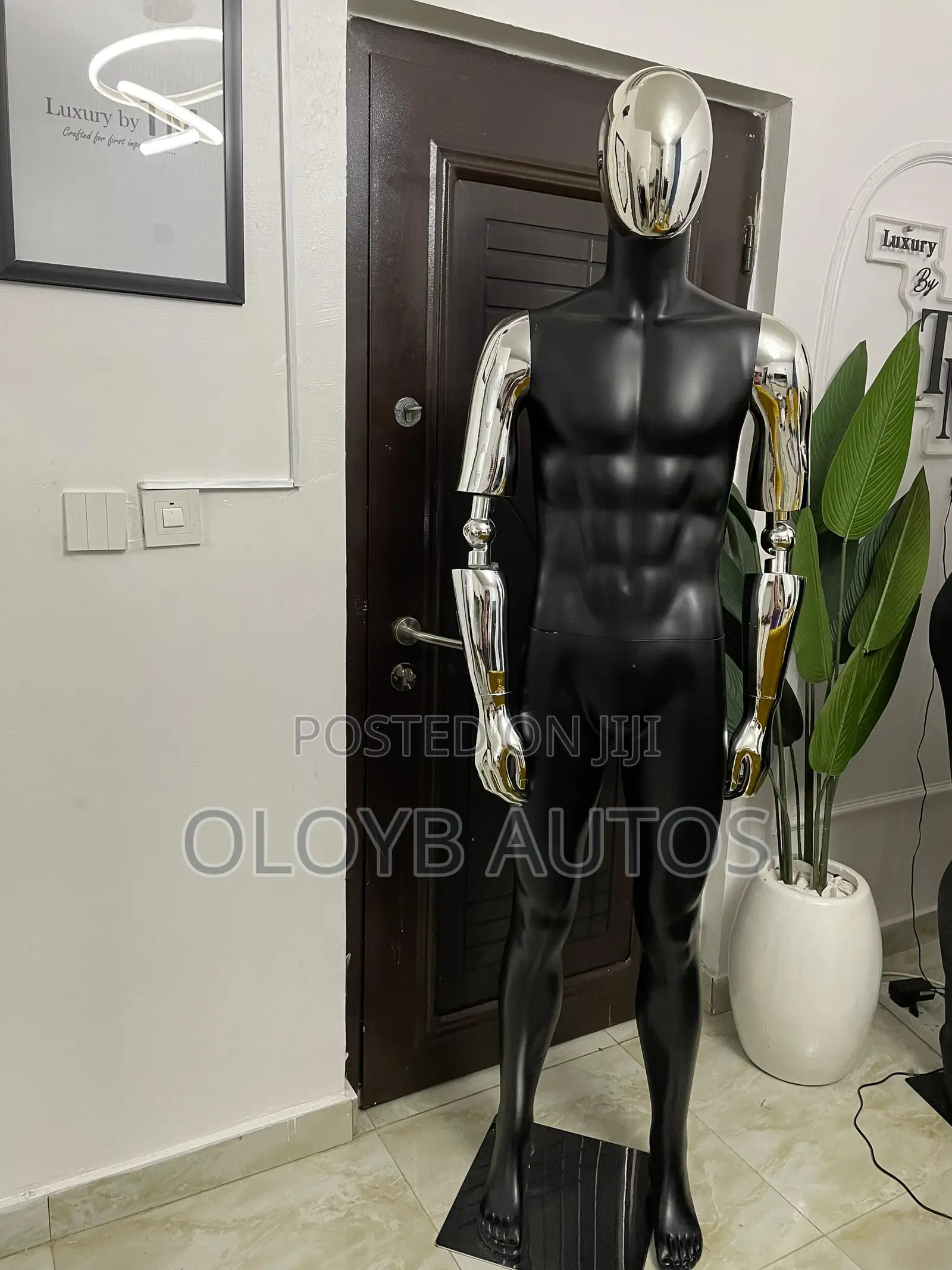 Male Mannequin