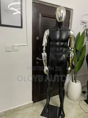 Male Mannequin