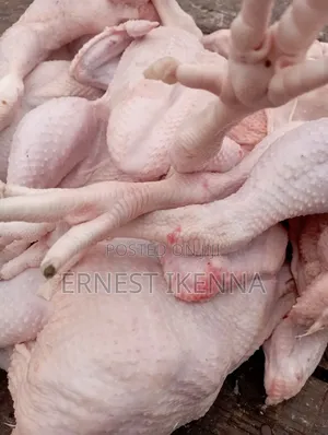 Fresh Chicken