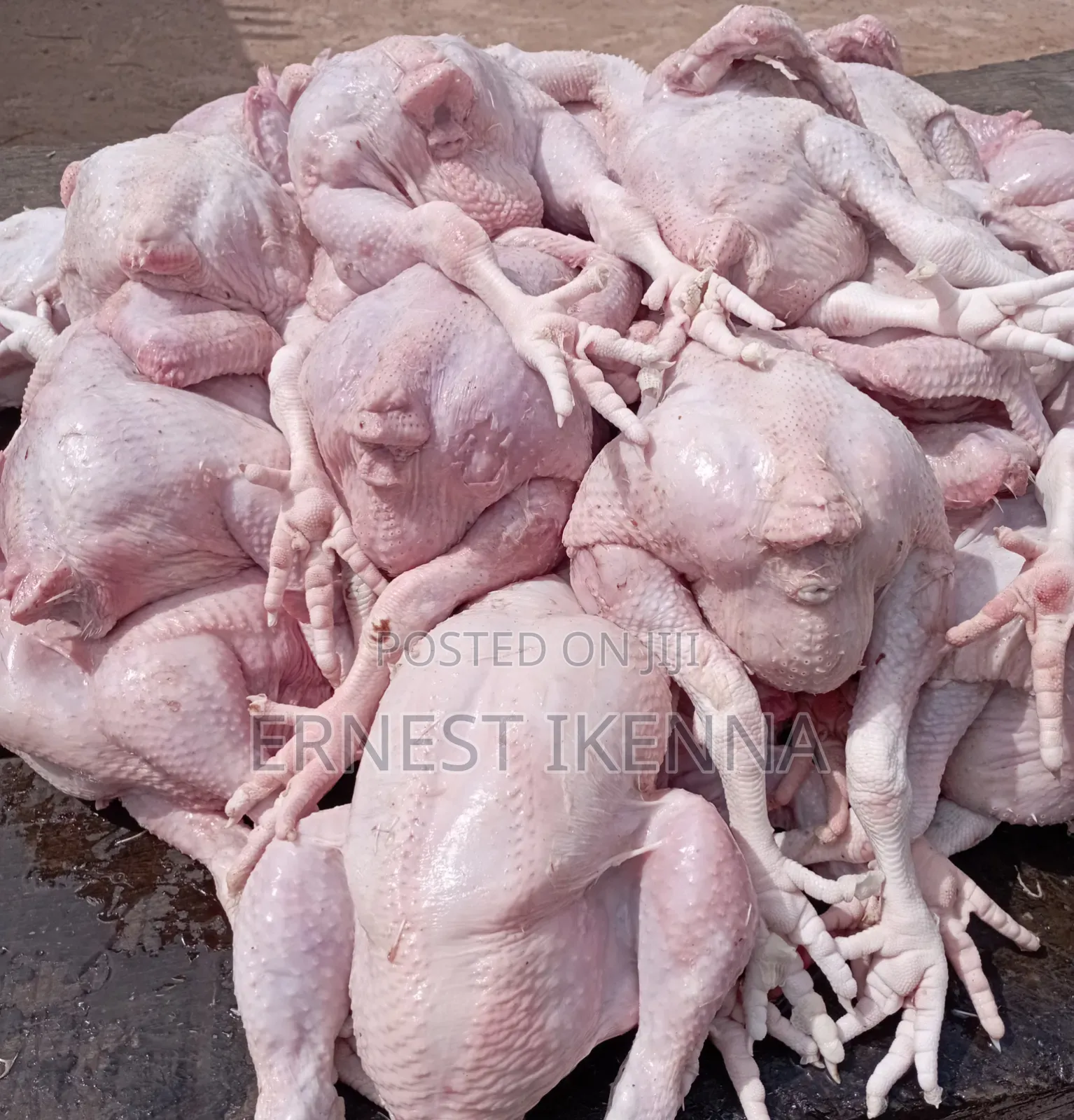 Fresh Chicken