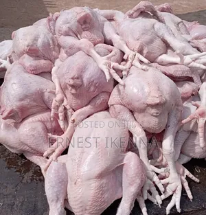 Fresh Chicken