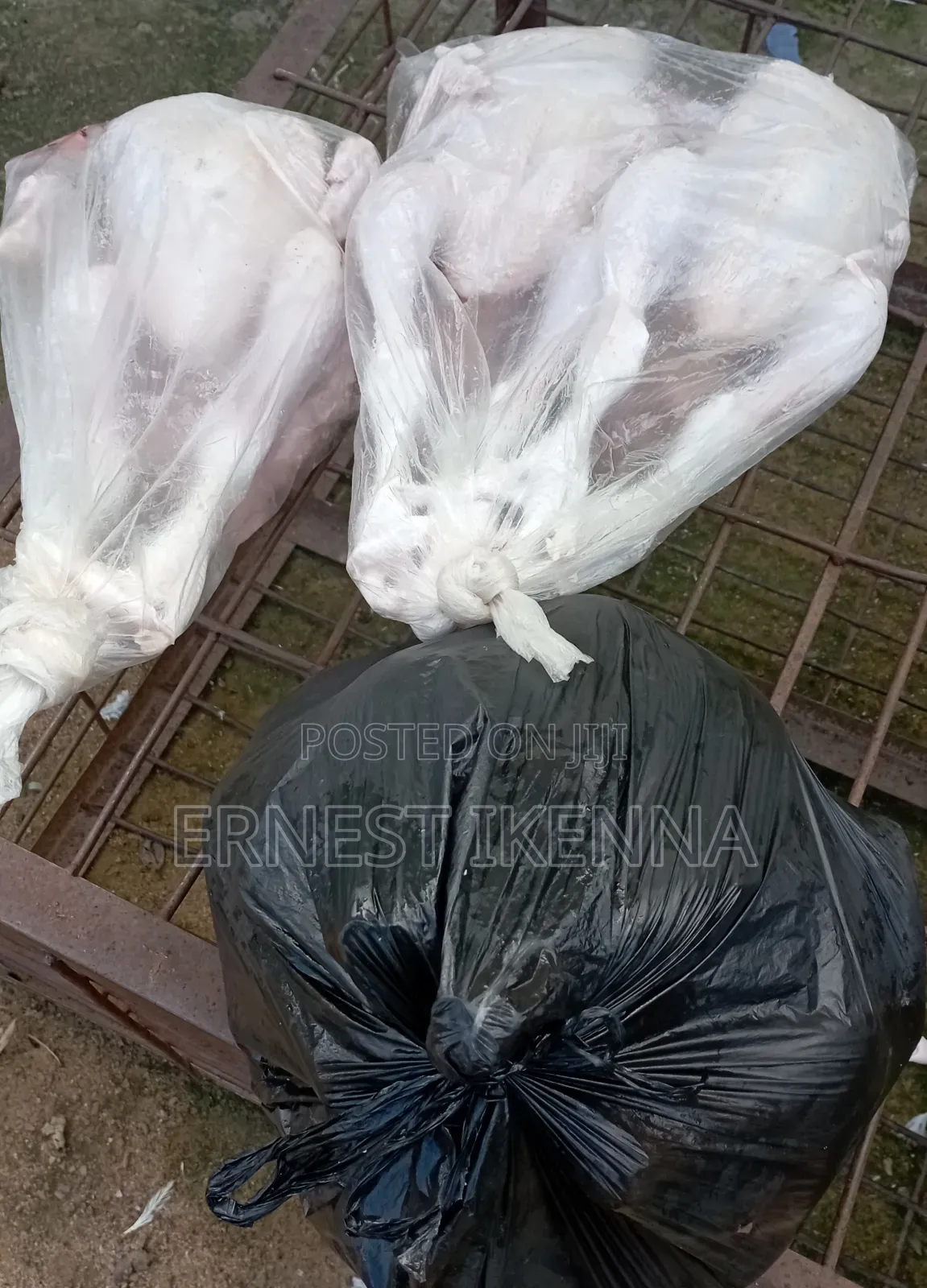 Fresh Chicken