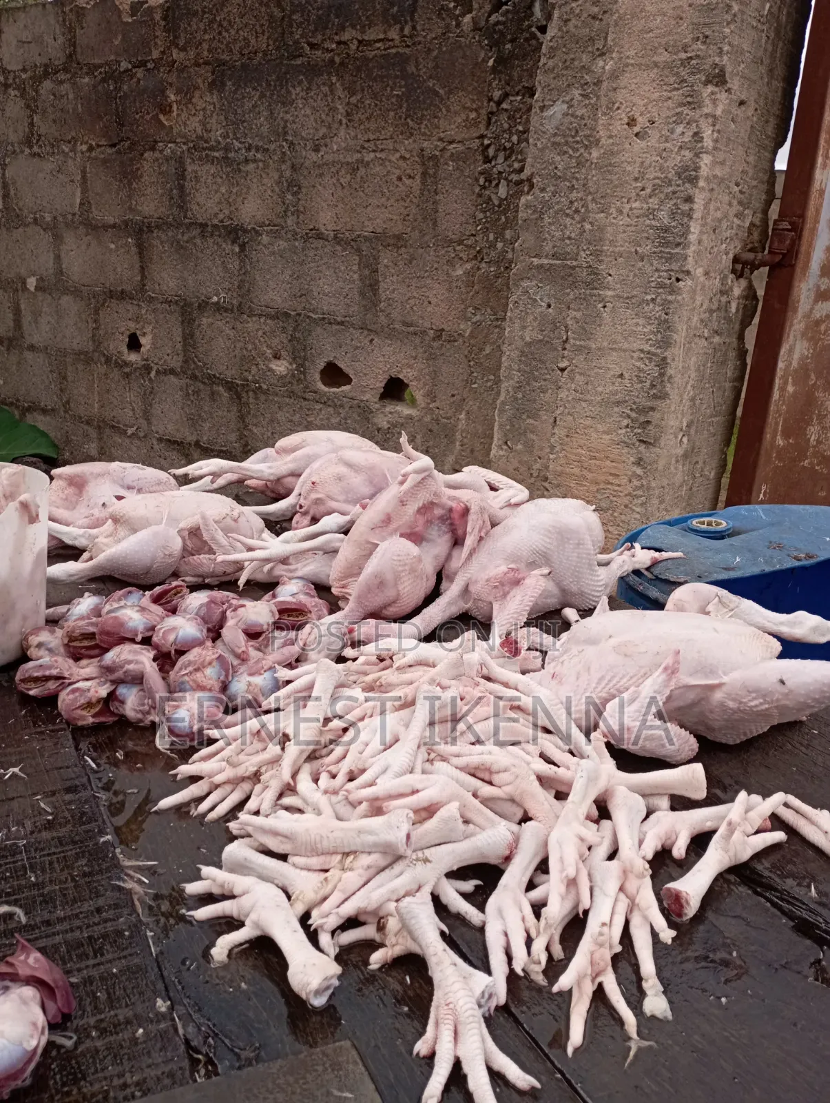 Fresh Chicken