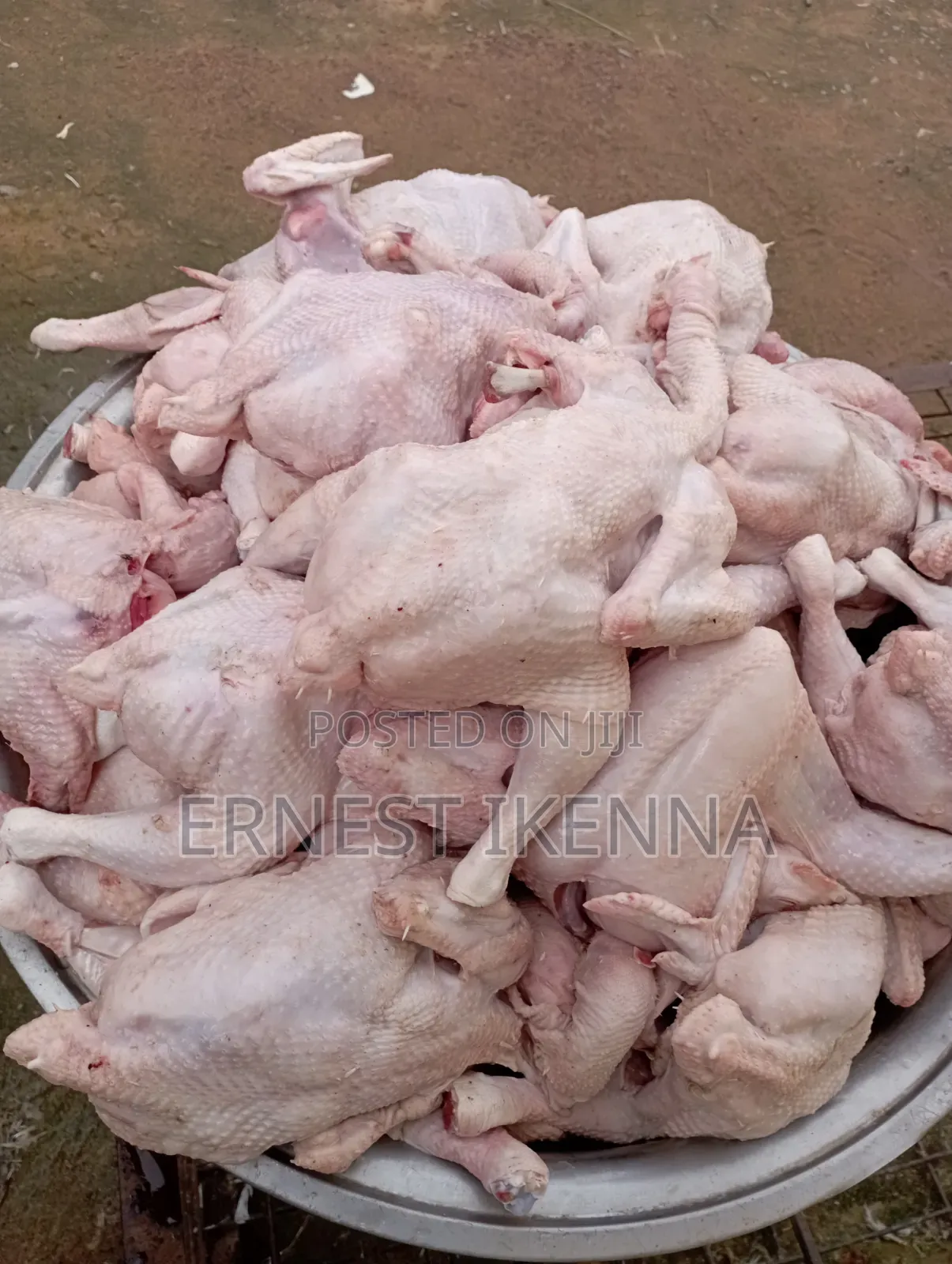 Fresh Chicken