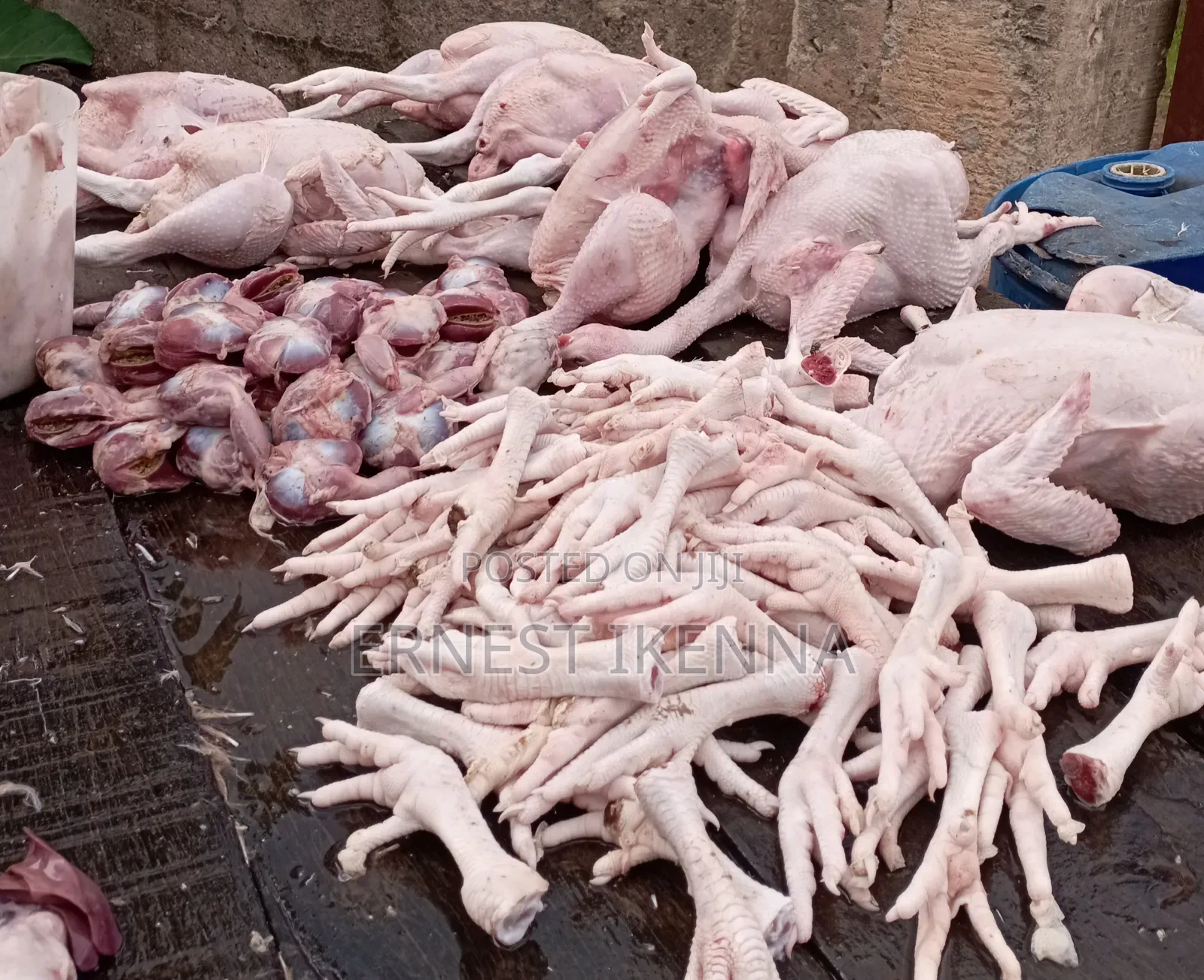 Fresh Chicken
