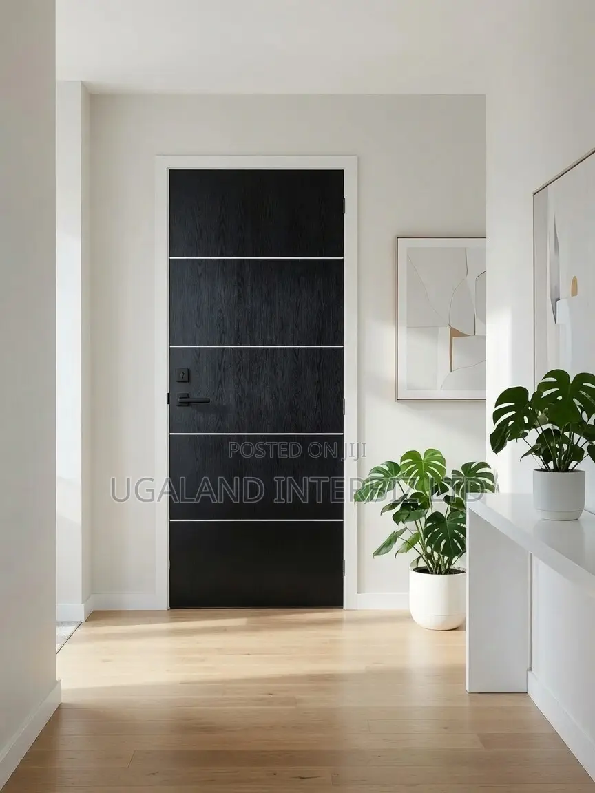 Modern Black Interior Door