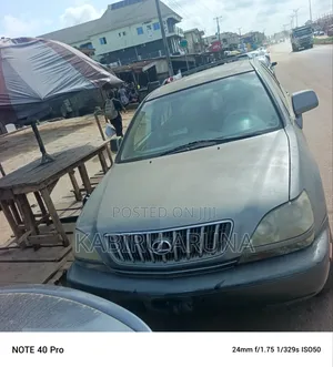 Lexus RX 2002 Gray
