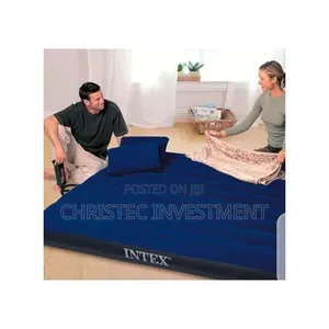 Intex 2-3 Inflatable Person Classic Downey Airbed With Pump+Two Pillow