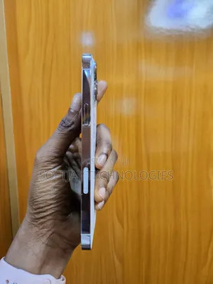 Apple iPhone 13 Pro Max 256 GB White