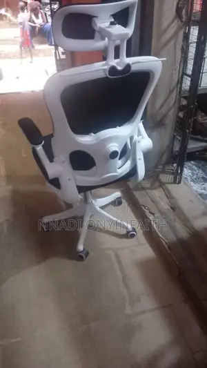 Brand New and Imported Ergonomic Office Chair