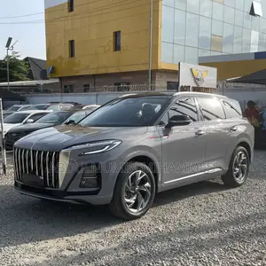 Hongqi E-HS3 2023 Gray