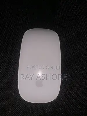 Apple Mouse Series 2