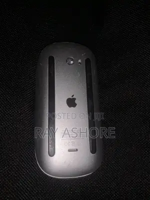 Apple Mouse Series 2