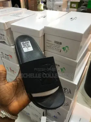 Carton Slides