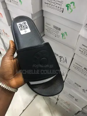 Carton Slides