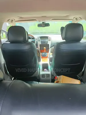 Lexus RX 2009 Gray
