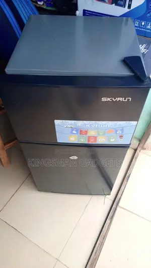 Skyrun Double Door Fridge