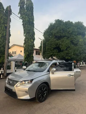 Lexus RX 2011 Gray