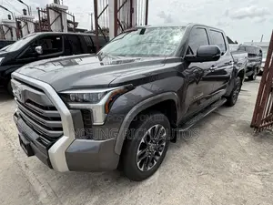 Toyota Tundra 2024 Gray
