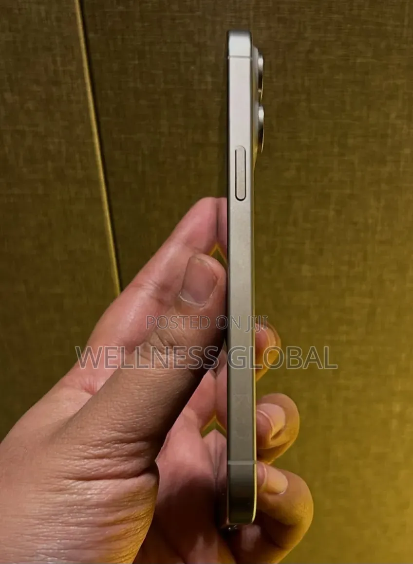 Apple iPhone 15 Pro Max 256 GB Silver