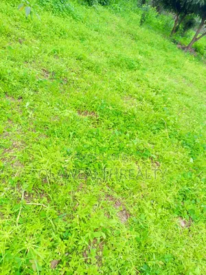 2.15 Hectares Comprehensive Development Land At Jahi