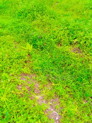 1.1hectare Commercial Land at Guzape 2