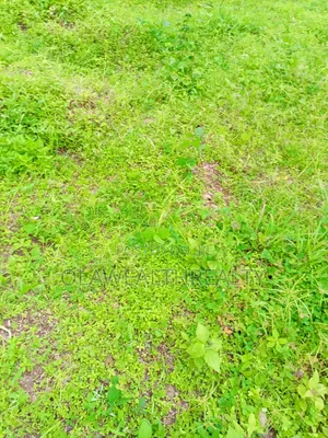 6,325sqm Housing Estate Land at Katampe Main