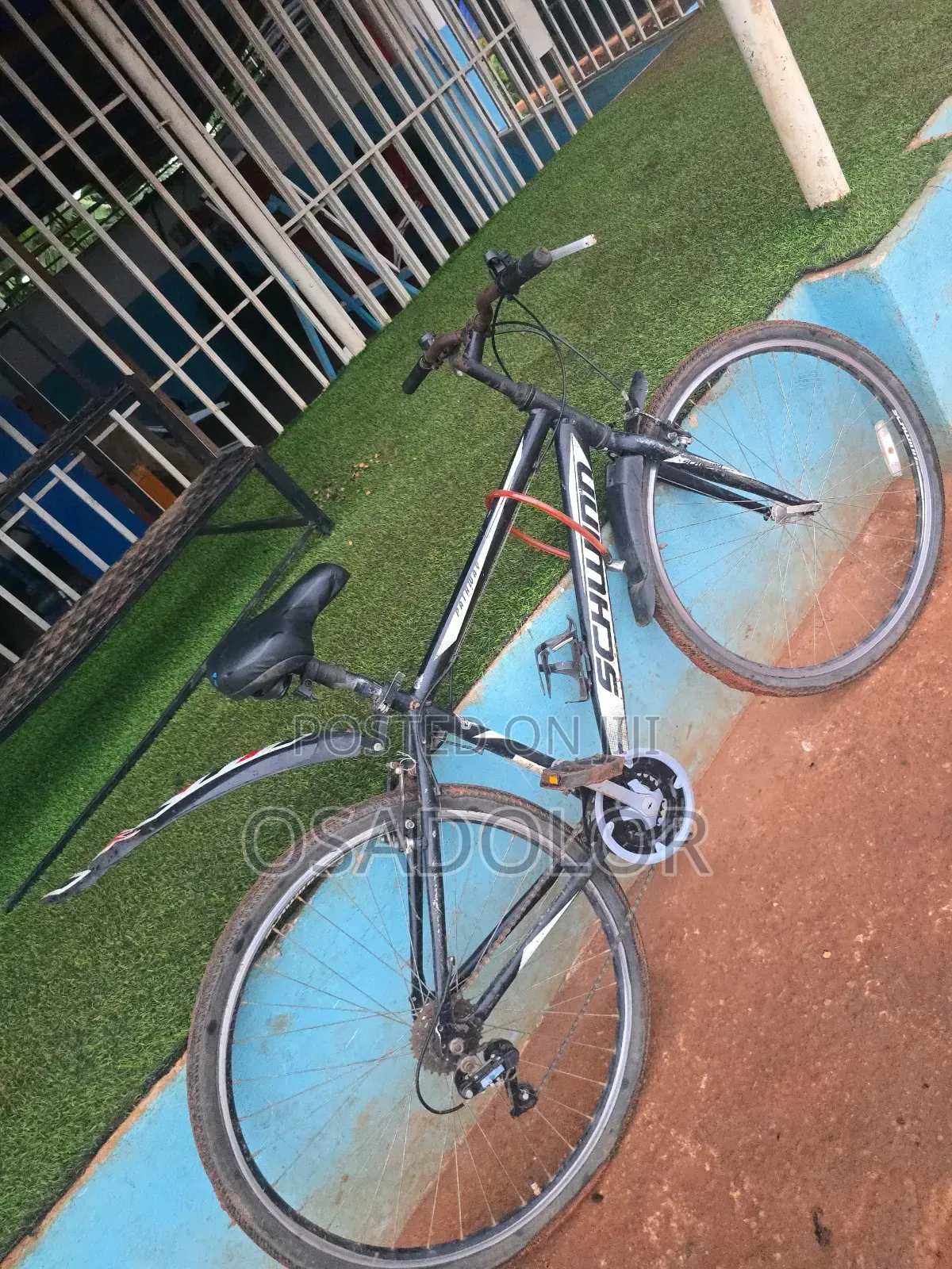 Bicycle for Sale Used